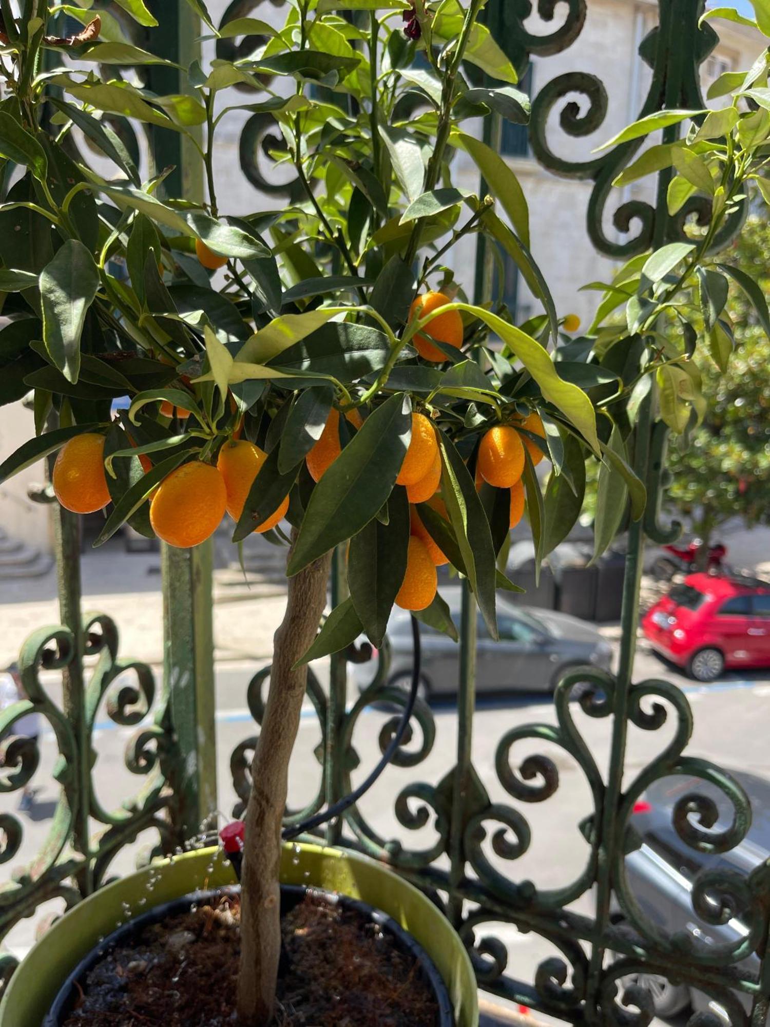 Apartamento La Dimora Di Annika Oria  Exterior foto